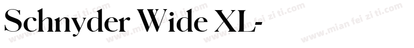 Schnyder Wide XL字体转换
